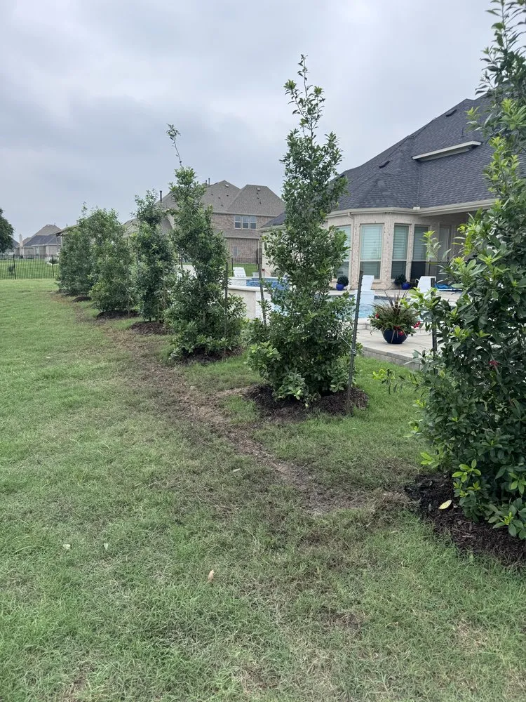 Professional landscape design in Mesquite, TX - Your Irrigation
