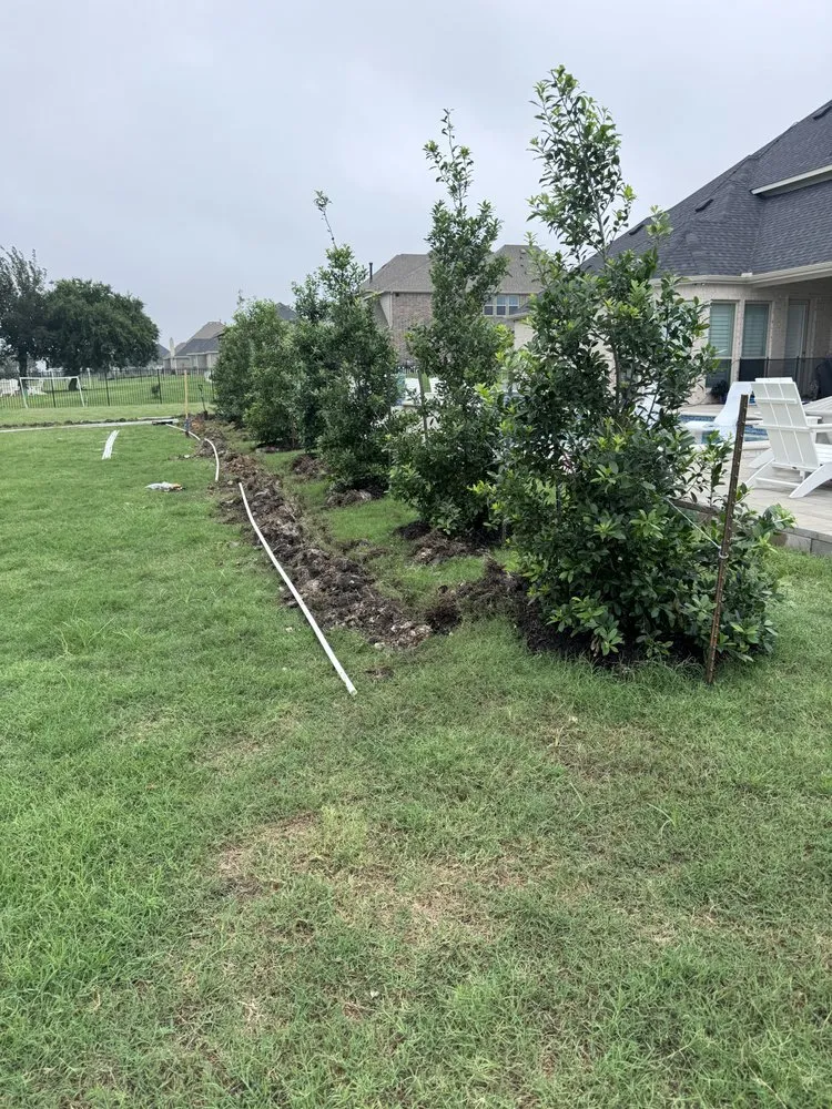 Professional yard maintenance in Mesquite, TX by Your Irrigation