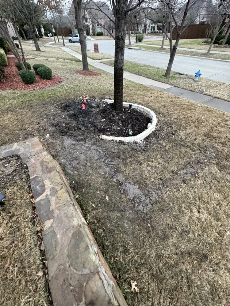 Trusted residential landscaping in Mesquite, TX - Your Irrigation