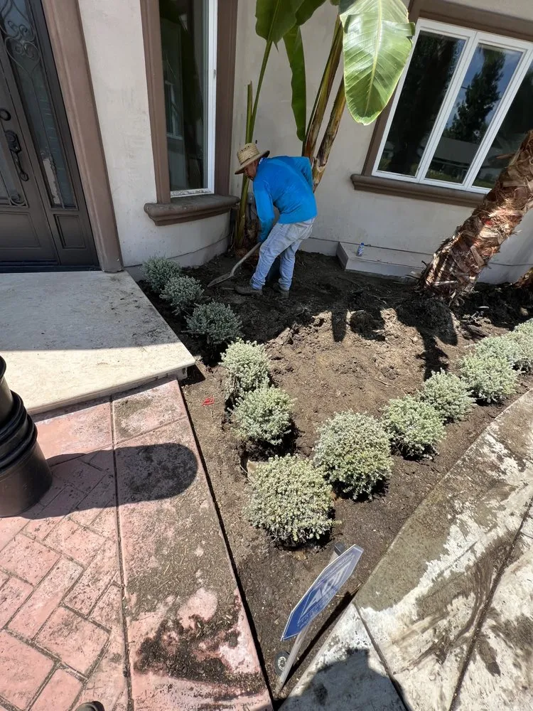Trusted yard cleanup service experts serving North Hills, CA - Your Land View Landscape