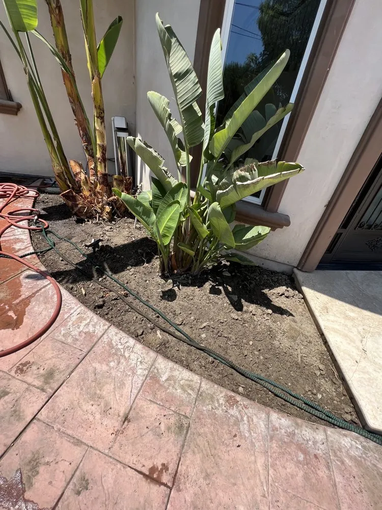 Custom residential landscaping for year-round maintenance across North Hills, CA - Your Land View Landscape