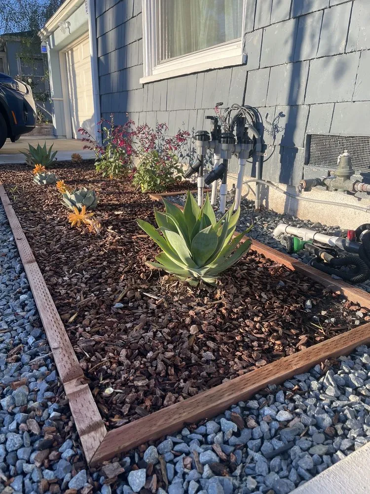 Local residential landscaping for year-round maintenance in North Hills, CA by Your Land View Landscape