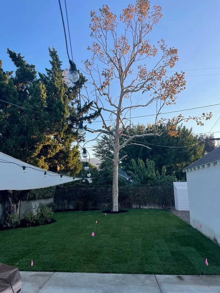 Affordable lawn mowing service with custom design across North Hills, CA - Your Land View Landscape