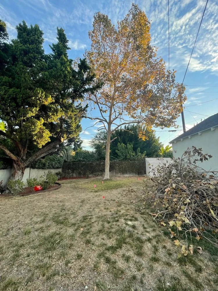 Local yard maintenance for homes across North Hills, CA - Your Land View Landscape