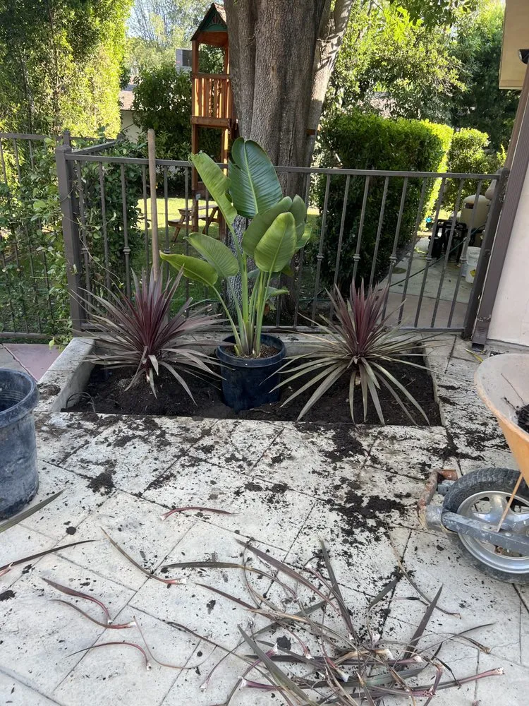 Professional lawn care service for beautiful yards across North Hills, CA - Your Land View Landscape