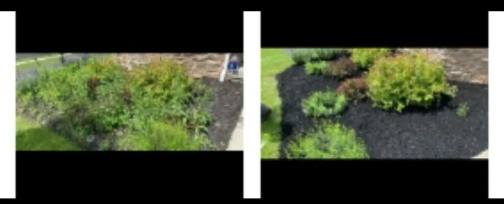 Affordable yard cleanup service near you across Rockaway, NJ - Your Landscape Guy