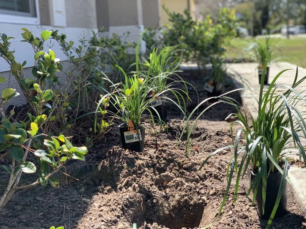 Expert outdoor landscaping for residential properties in Palm Coast, FL by Your Landscaping Team