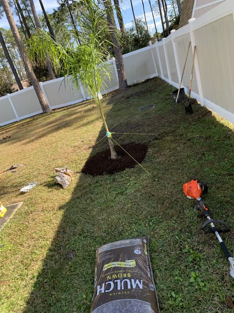 Top-rated lawn care service in Palm Coast, FL - Your Landscaping Team