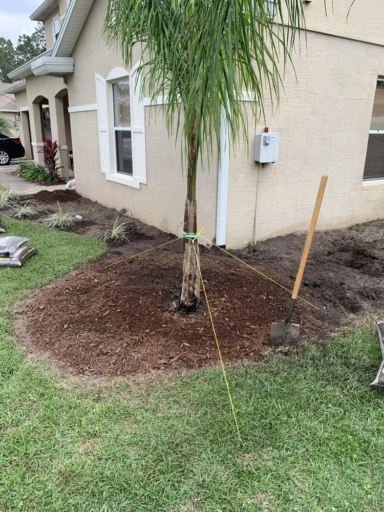 Professional lawn mowing service near you in Palm Coast, FL by Your Landscaping Team