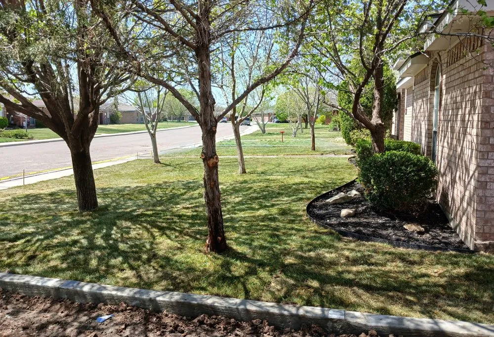 Local yard maintenance in Amarillo, TX - Your Last Call Irrigation and Landscape