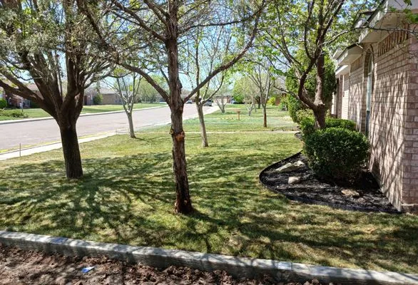 Your Last Call Irrigation and Landscape Logo