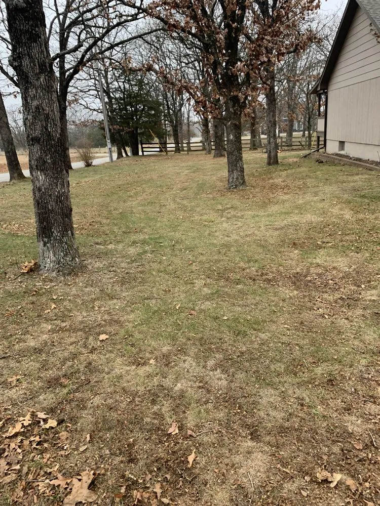 Professional yard cleanup service for homes in Nevada, MO by Your Lawn Barber