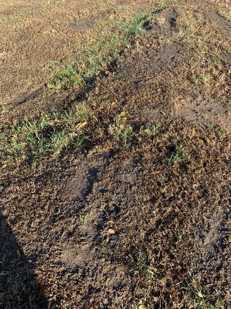 Expert landscape design experts serving Nevada, MO - Your Lawn Barber