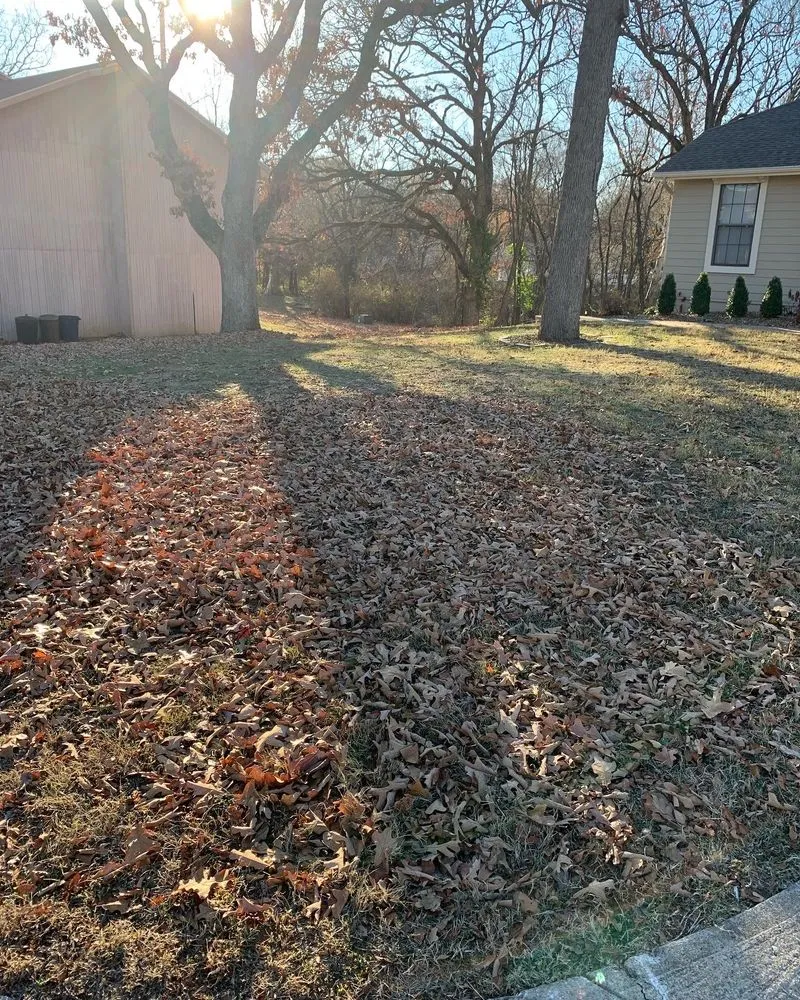 Custom yard cleanup service in Nevada, MO - Your Lawn Barber