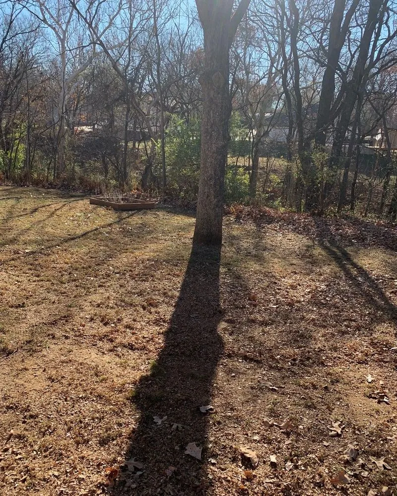 Trusted landscaping services in Nevada, MO - Your Lawn Barber