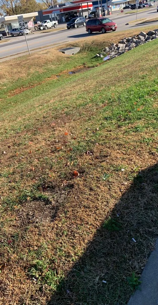 Trusted landscape design in Nevada, MO - Your Lawn Barber