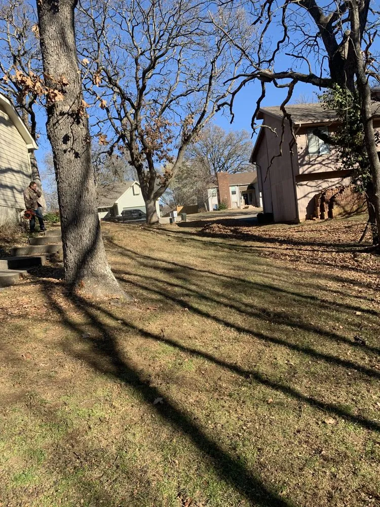 Affordable residential landscaping in Nevada, MO by Your Lawn Barber