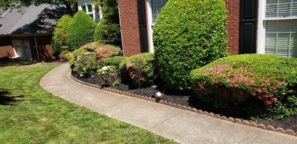 Reliable lawn mowing service with custom design in Jonesboro, GA by Your Lawn Care Service