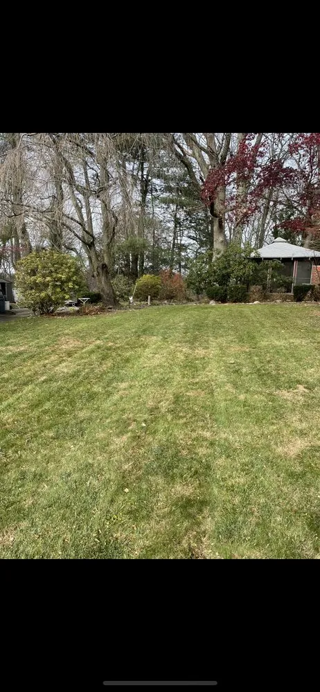 Local yard maintenance for residential properties in Pottsville, PA by Your Lawn Care Solution