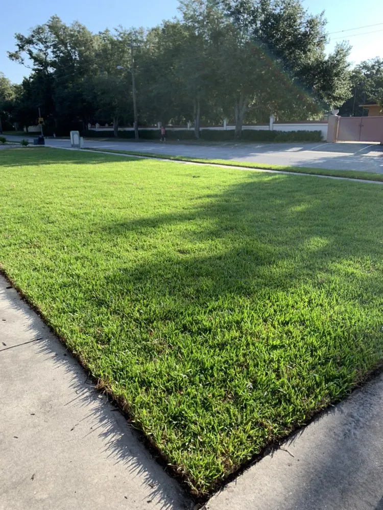 Custom landscape installation with custom design in Temple Terrace, FL by Your Lawn Escape