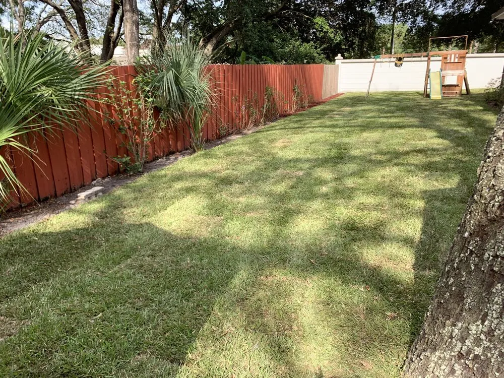 Affordable landscape installation for outdoor upgrades across Temple Terrace, FL - Your Lawn Escape