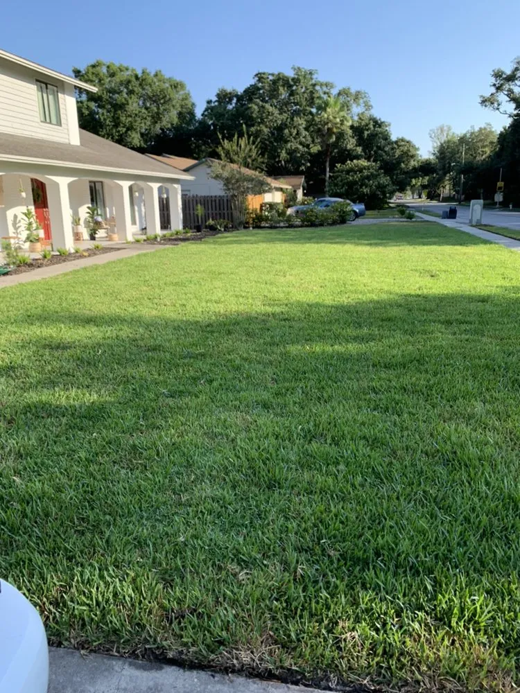 Top-rated landscape design in Temple Terrace, FL - Your Lawn Escape