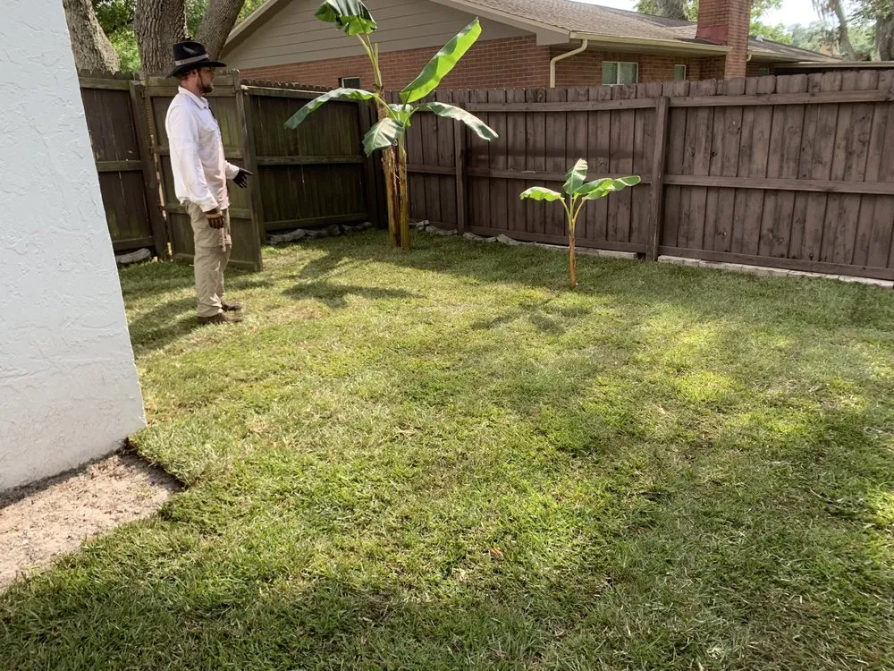 Professional landscaping services in Temple Terrace, FL by Your Lawn Escape