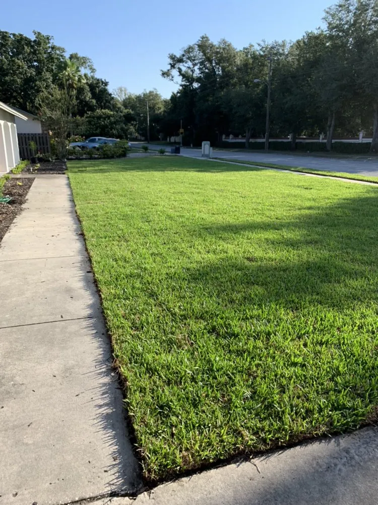 Local yard cleanup service experts serving Temple Terrace, FL - Your Lawn Escape