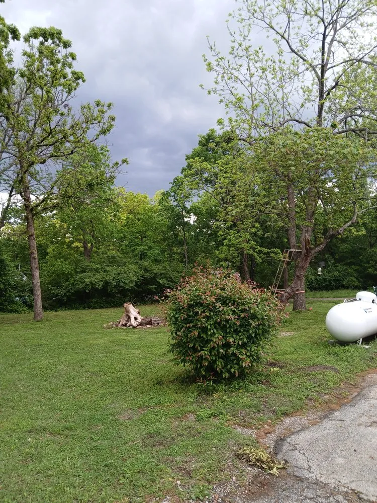 Top-rated landscape design in Forsyth, MO - Your Lawn