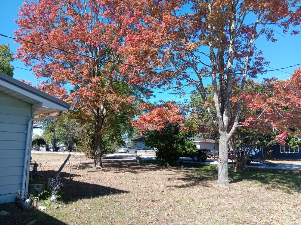 Local yard maintenance for residential properties across Forsyth, MO - Your Lawn