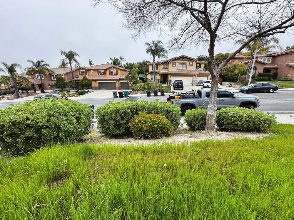 Professional lawn mowing service experts serving Menifee, CA - Your Lawn Girl