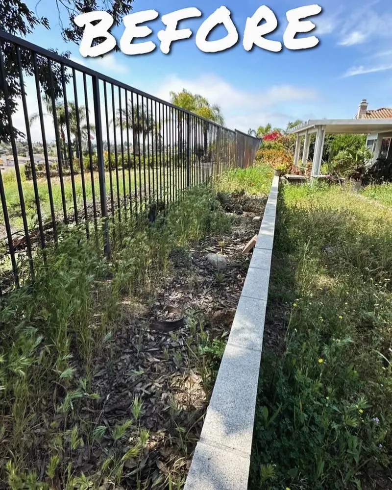 Reliable outdoor landscaping in Menifee, CA - Your Lawn Girl