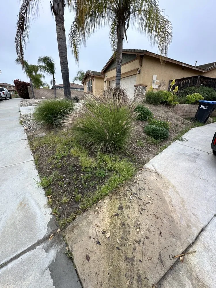 Expert residential landscaping experts serving Menifee, CA - Your Lawn Girl