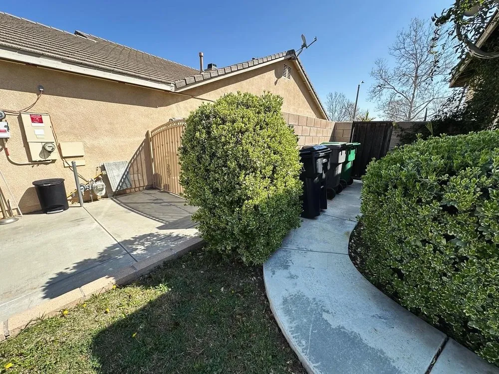 Custom yard cleanup service experts serving Menifee, CA - Your Lawn Girl