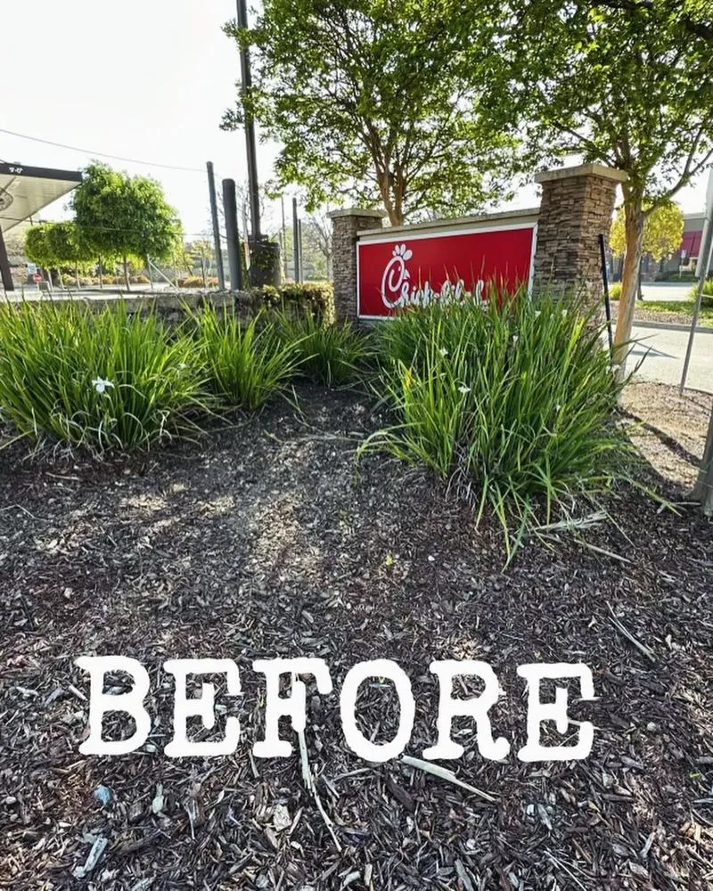 Custom garden landscaping in Menifee, CA by Your Lawn Girl