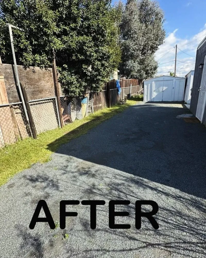 Reliable yard cleanup service experts serving Menifee, CA - Your Lawn Girl