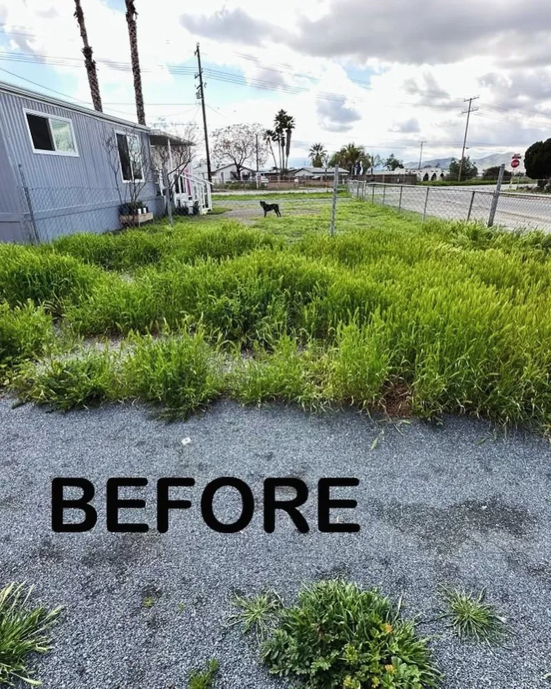 Professional residential landscaping in Menifee, CA - Your Lawn Girl