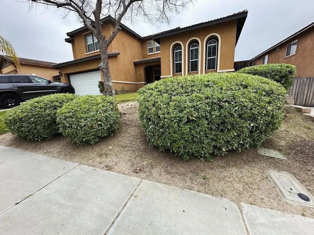 Expert lawn mowing service for year-round maintenance in Menifee, CA by Your Lawn Girl