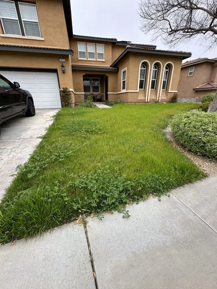 Custom residential landscaping for outdoor upgrades across Menifee, CA - Your Lawn Girl