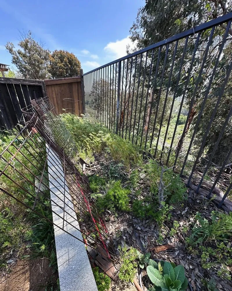 Professional yard maintenance in Menifee, CA by Your Lawn Girl