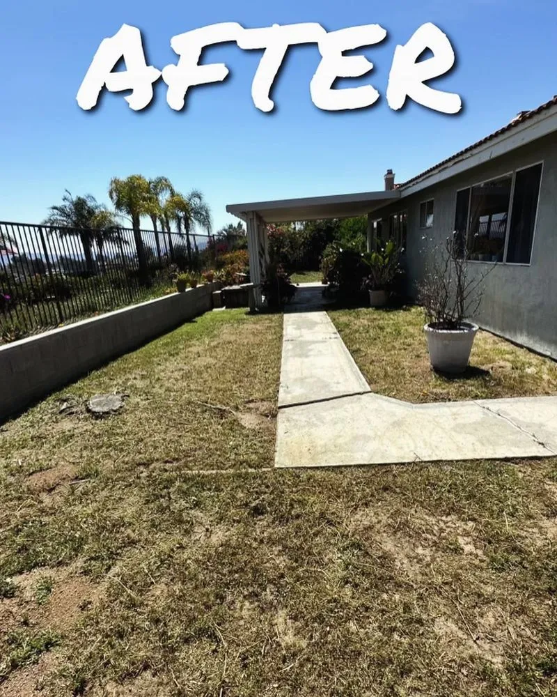 Professional residential landscaping in Menifee, CA by Your Lawn Girl