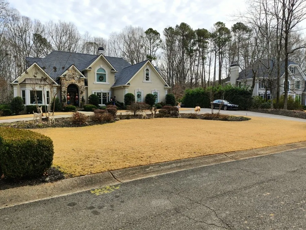 Top-rated yard cleanup service in Dallas, GA - Your Lawn Guy