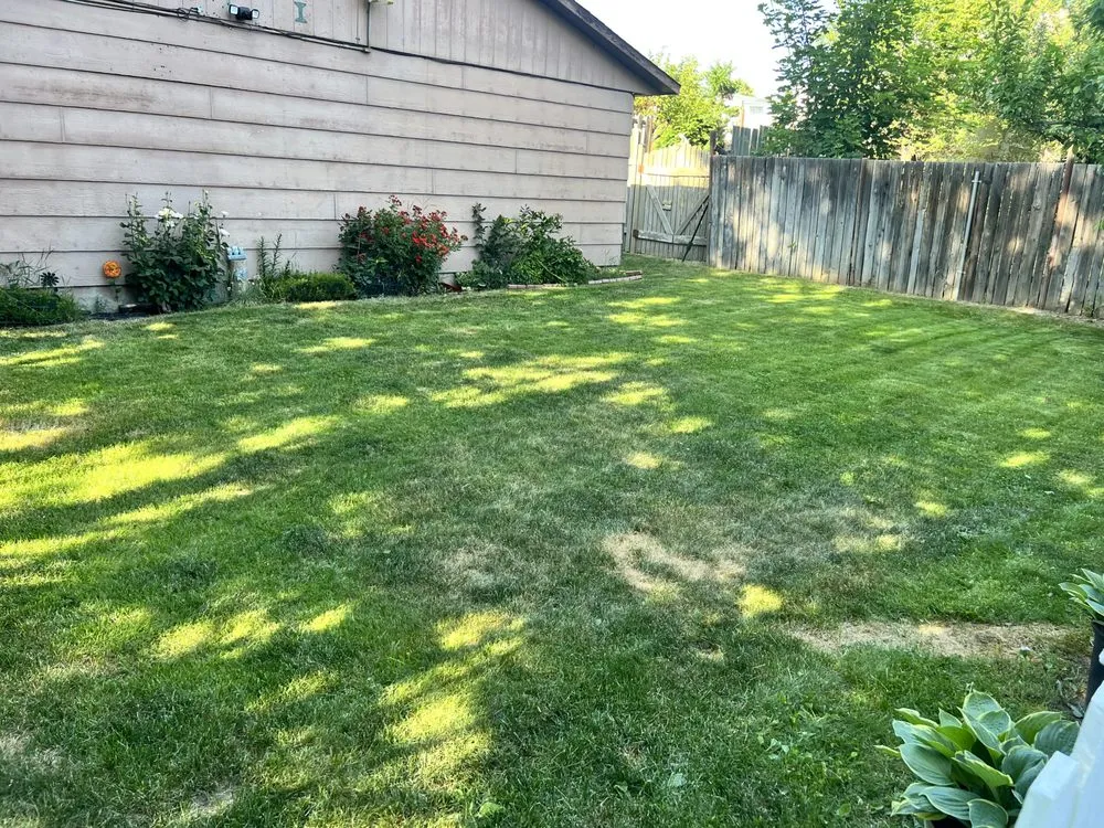 Professional yard cleanup service in East Wenatchee, WA - Your Lawn Guy