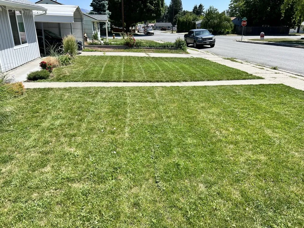 Expert lawn care service near you across East Wenatchee, WA - Your Lawn Guy