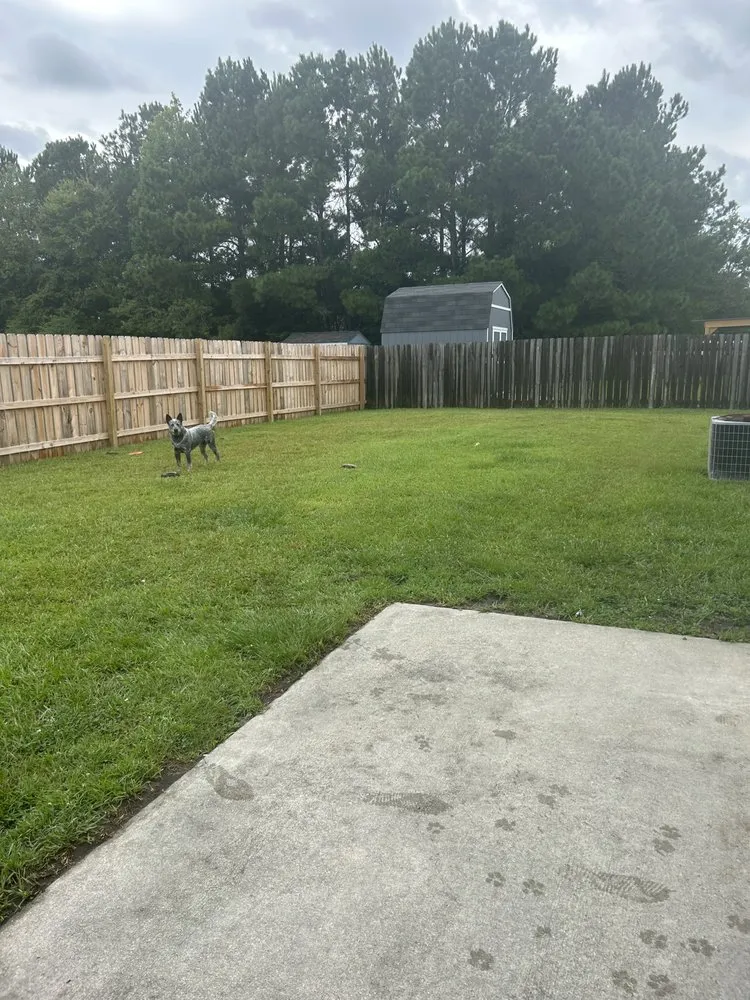 Trusted landscape design for homes in Hubert, NC by Your Lawn Guy