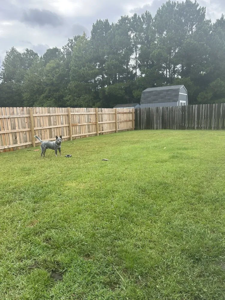 Expert outdoor landscaping in Hubert, NC by Your Lawn Guy