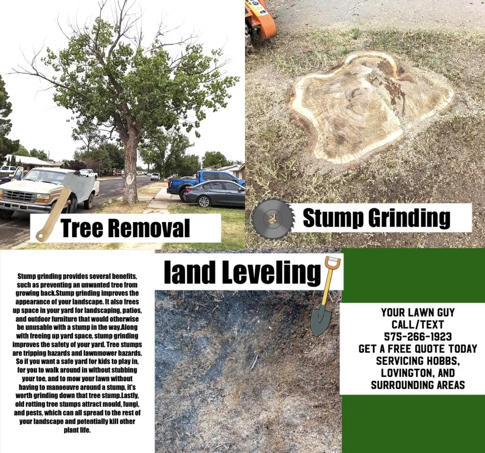 Top-rated landscape installation in Lovington, NM by Your Lawn Guy