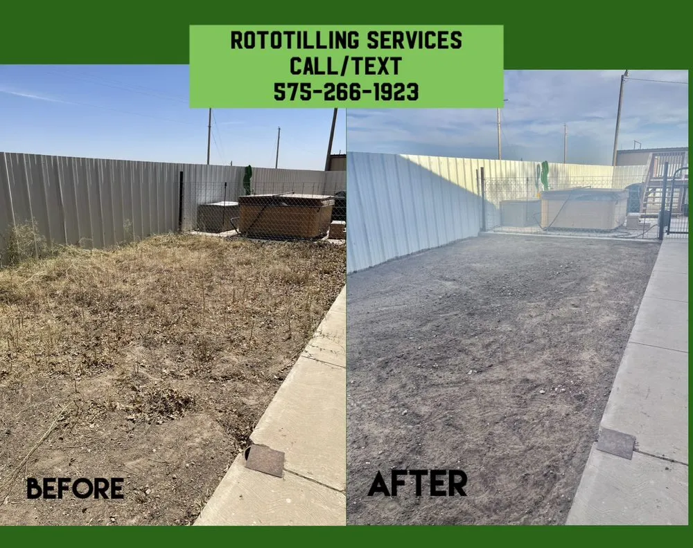 Trusted landscaping services with custom design across Lovington, NM - Your Lawn Guy