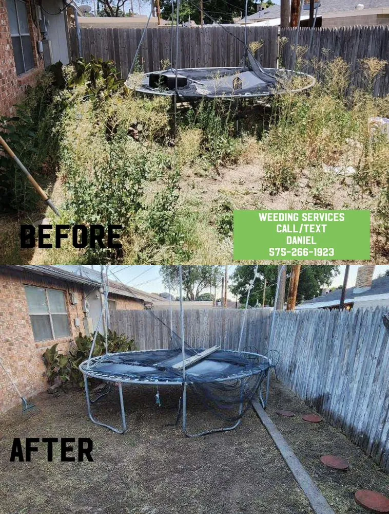 Professional outdoor landscaping in Lovington, NM by Your Lawn Guy