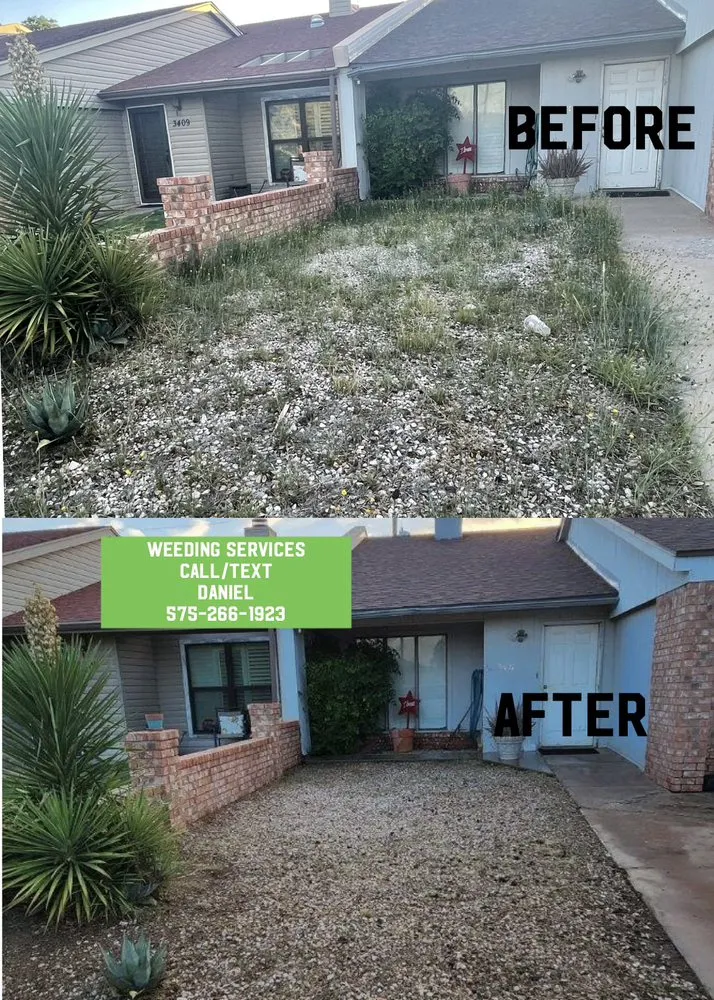 Professional landscaping services in Lovington, NM by Your Lawn Guy
